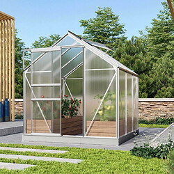 Vitavia Serre de jardin en polycarbonate 4 mm et aluminium anodisé avec embase Venus Longueur de 195 cm.