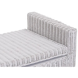 Avis Mendler Banc banquette / coffre de rangement M92, rotin ~ blanc