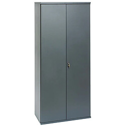 Pierre HENRY Armoire métallique anthracite Brico Hauteur 198 cm.