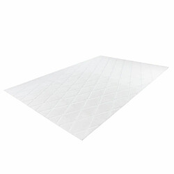 Acheter Paris Prix Tapis Shaggy Géométrique Vivica Blanc 80 x 150 cm