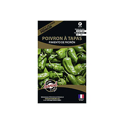 Sanrival Graines potagères premium poivron Padron spécial tapas 