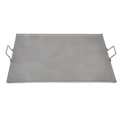 Visiodirect Planche à rotir barbecue 5 mm en Fer coloris Gris - 50 x 33 cm