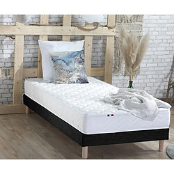 Idliterie Ensemble Matelas Ressorts Fermes biconiques SPECTRE + Sommier Made in France