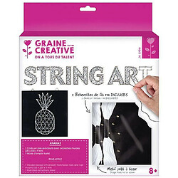 Avis Graines Creatives Coffret String Art - Tableau noir Ananas art filaire 22 x 22 cm