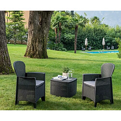 Acheter SALON DE JARDIN TREE EXTERIEUR 2 FAUTEUILS AVEC COUSSIN ET TABLE COFFRE SALON POUR JARDIN ET TERRASSE EN PLASTIQUE FAUTEUIL 52X58X90CM TABLE BASSE 54X54X40CM+Sunnydays