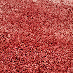 Acheter Thedecofactory COCOON - Tapis à poils longs toucher laineux rouge argile 160x230