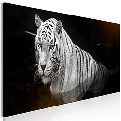 Artgeist Tableau - Shining Tiger (1 Part) Orange Narrow [120x40]