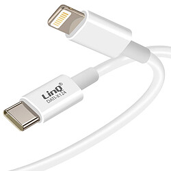 LinQ Câble USB-C vers Lightning 20W pour iPhone et iPad Blanc