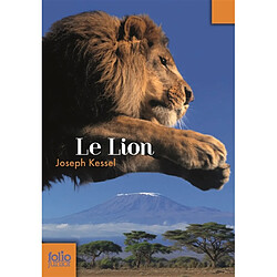 Le lion - Occasion