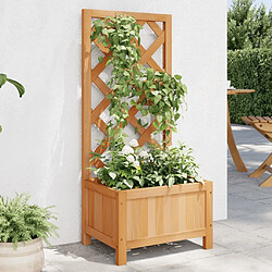 Maison Chic Jardinière,Bac à fleurs avec treillis - pot de fleur marron bois massif de sapin -GKD55420