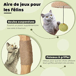 Acheter Helloshop26 Arbre à chat de 110 cm tour à chat en bois perchoir supérieur rembourré condo pour chatcentre d'activité pour chat balles pendantes vert 20_0005500