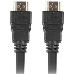 Câble vidéo HDMI-A mâle 1.4 4K Lanberg 3m