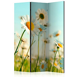 Artgeist Paravent - Daisies - spring meadow [Room Dividers] [135x172]