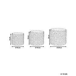 Avis Beliani Lot de 3 pots de fleurs RONQUIL Osier Naturel