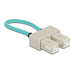 Delock - Loopback-Adapter - SC multi-mode (M) - Glasfaser - 50/125 Mikrometer - OM3 - beige, Aquamarin (86923)