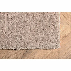 Acheter Venture Home Tapis effet viscose beige Undra 350 x 250 cm.