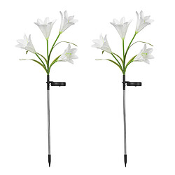 BESTA Paquet de 2 lanternes solaires extérieures Lily Led Lampes solaires de jardin pour la décoration de jardin