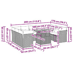 Acheter vidaXL Salon de jardin avec coussins 10 pcs beige résine tressée