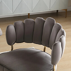 Acheter ComfortXL Chaise en Velours avec Accoudoirs, Lot de 2, Moderne et Confortable, Pieds Métalliques - Gris