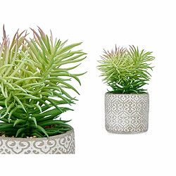 Avis Ibergarden Plante décorative Succulent Bois Plastique 12 x 22 x 12 cm (8 Unités)