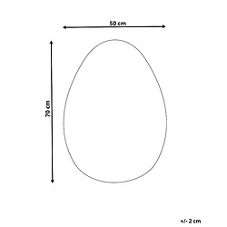 Avis Beliani Miroir MONTRESOR Argenté