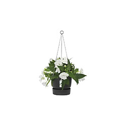 Avis ELHO Pot de fleurs a suspendre Greenville 24 - Extérieur - Ø 23,9 x H 20,3 cm - Vivre noir