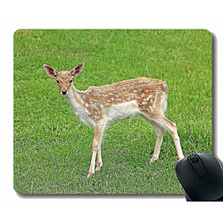 Universal (260x210x3) Tampon de souris avec bords de cerf bruns