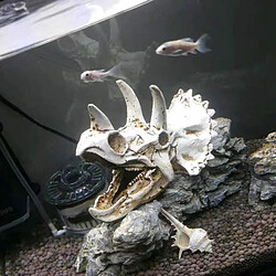 Universal Reptiles, amphibiens, grottes cachées, aquariums, dinosaures, triangles, squelettes.