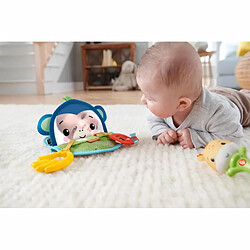 Avis Fisher Price Fisher-Price - Coffret Mes Premiers Jeux, coffret cadeau avec des jouets d'éveil sensoriels - Jouet d'éveil bébé - Des 3 mois