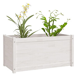 Avis vidaXL Jardinières 2 pcs Blanc 100x50x50 cm Bois de pin massif