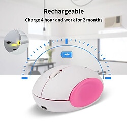 Souris 2.4G Rechargeable Sans Fil Portable HMW-06 Rose Noir pas cher