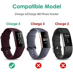 Euro Mega Chargeur pour Fitbit Charge 4 (Pas pour Charge 3/Charge 2) Cordon de Charge USB Câble Charge 4