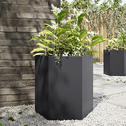 vidaXL Jardinières 2 pcs noir hexagone 46x40x45 cm acier