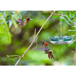 Mangeoire Extérieure Pour Colibris Mangeoire à Oiseaux En Plastique Avec 8 Stations D'alimentation Vert pas cher