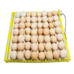 Avis Incubateur Automatique D'oeufs De Poulet 42/56 Oeufs éclosoir 56Eggs 9Rods