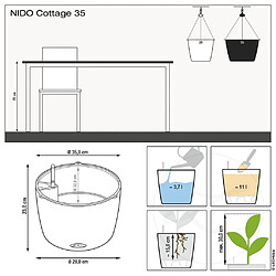 LECHUZA Jardinière suspendue NIDO Cottage 35 ALL-IN-ONE Noir graphite pas cher