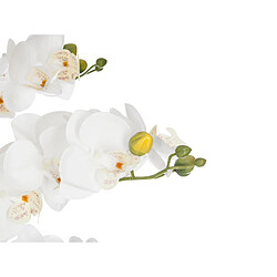 Atmosphera, Createur D'Interieur Orchidée en pot H. 65 cm blanc - Atmosphera