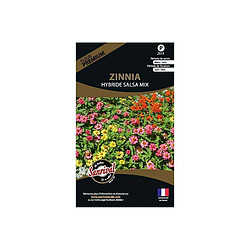 Sanrival Graines de fleurs premium zinnia hybride salsa mix 