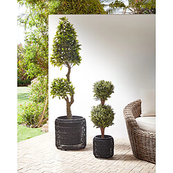 Beliani Lot de 2 pots de fleurs BRODIEA Polyrotin Noir