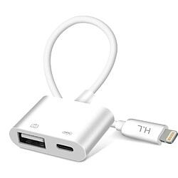 Avizar Adaptateur iPhone / iPad Lightning vers USB et Lightning Charge Compact Blanc