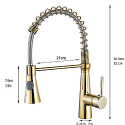 Acheter Robinet de Cuisine à Ressort en Spirale, Robinet d'Évier avec Douchette Extensible