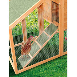 Avis Poulailler bi-corps 5-8 poules - po2309 - HABRITA