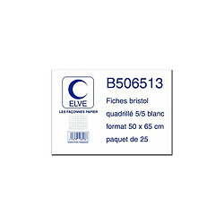 ELVE Fiches bristol quadrillées 5/5, 500 x 650 mm, 25 fiches ()