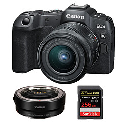 Canon EOS R8 Boîtier + objectif RF 24-50 mm f/4.5-6.3 IS STM + EF-EOS R + SanDisk 256 Go