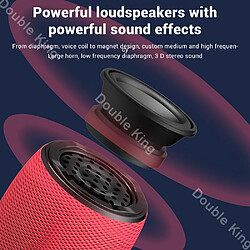 Avis Universal Microphone portable Bluetooth Carla identifie les microphones à deux haut-parleurs pour chanter pour le système de télévision intelligente IOS | Microphone