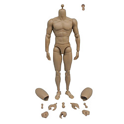 Avis Jouet Articulé De Poupée Articulée Par Corps Masculin De Figure D'action D'épaule étroite Pour TTM18 / TTM19 + Slip