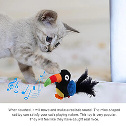 Universal Voix automatique perroquet oiseau jouets interactifs jouets électroniques pour chat morsure douce jouets amusants à mâcher fournitures pour animaux de compagnie |