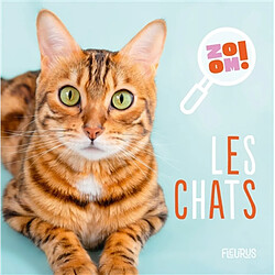 Les chats - Occasion