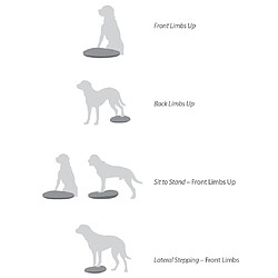 Acheter FitPAWS Disque d'équilibre pour animaux de compagnie 36 cm