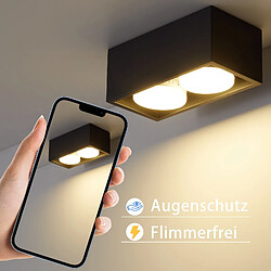 Acheter NETTLIFE 2 Spots de plafond en saillie noir avec lumière orientable blanc chaud moderne 2x5W GX53 carré plat pour cuisine salon salle à manger